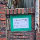 장기반점 이미지