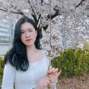 예담살롱
