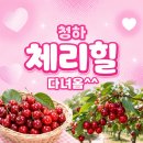 청하농장 | 포항 체리체험 청하체리힐 후기｜아이와 가볼만한 곳 내돈내산