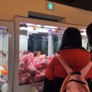 인형뽑기 이미지