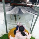 청송아파트경로당 | 청양 알프스마을 얼음분수축제 야간개장방문