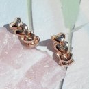 송도리탕 이미지