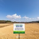 평화농장(2) 이미지