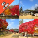 마곡사관광지 | 충남 공주 마곡사 단풍 명소 완벽 가이드(주차 정보, 단풍 시기, 산책코스)