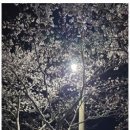 천마아이태권도장 이미지