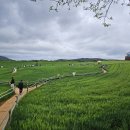 가대 농장 이미지