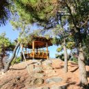 솔향기은빛바다펜션 | 그윽한 커피향 통영펜션 솔향기은빛바다~가족펜션 추천