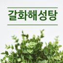 해성탕 이미지