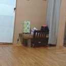 세화 동백그늘 이미지