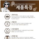 바비 펫 | 바비펫- 어반돌키스 자연발효 퍼스트 원액에센스