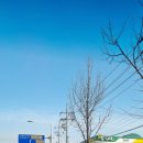 금산알뜰주유소 이미지