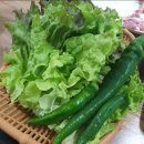 공음농장 | 고창맛집>오리전문점 무장 자연과오리/숯불구이 오리,서비스로 오리흑임자죽 맛있네요
