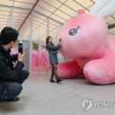 핑크닉 이미지