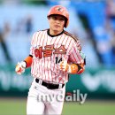 4 마이데일리
