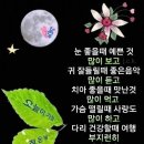 오늘더맑은날 이미지