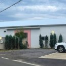 OJE 오늘도제주 이미지