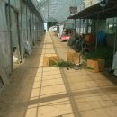 창연농장 이미지