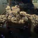 언니의 태교여행2 in 서울, (그랜드 하얏트 서울 프리미엄 트윈 남산 전망 숙박 후기)