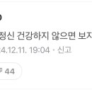 디어스완 Daum카페