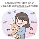 페티포티 이미지