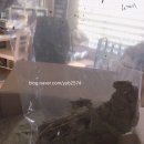 그린피드 이미지