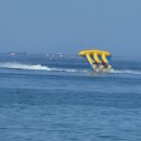 장사해수욕장 이미지