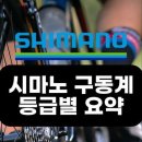 페들에스