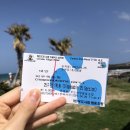 협동땅콩상회 | [제주도] 여행메이트 친구랑 제주도 뿌시고 온 여행코스(각종 꿀팁 有)