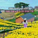 서시천자전거길1 | 전남 구례 가볼만한곳 하루 코스 서시천 벚꽃 화엄사 지리산치즈랜드 수선화