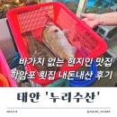 태안 학암포 횟집 가성비 좋은 누리수산 내돈내산 광어 참돔 포장