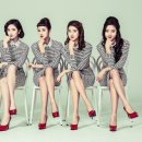 스피카.S 카카오 검색결과