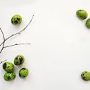 목곡 | 조선 최초의 시한폭탄 '비격진천뢰', 임진왜란 승리의 숨은 주역