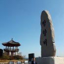 온산이주민망향비 이미지