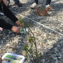 아기소망을 담은 초안산 마을여행 이미지