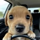 인명여자고등학교 | 8월달 일을 어.떻.게 기억하냐고