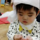 마당쇠 - 밀양시 | 마당쇠
