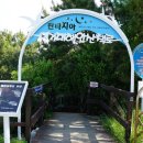 해안산책로(갈맷길 1-2) 티스토리