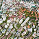 포레스트541 이미지