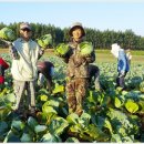 대견농장 이미지