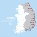 동해안 770㎞… 걷다보면 파랗게 물들겠네