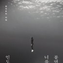 등불 이미지