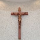 부산 대연동 &#39;양자강&#39; 후기 (23.08.01)