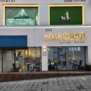 24시 유앤미동물병원 이미지