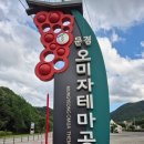 문경오미자 | 문경 아이와 가볼만한 곳! 무료 실내 놀이터 문경오미자테마공원 후기