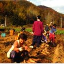 농사체험야영장 이미지