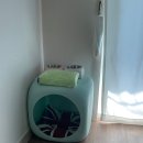 조이원펜션 | [전북 완주 애견 펜션] 조이원펜션 후기, 여름 나기 보내기, 대형견 수영장 추천, 전라도 애견 수영장...