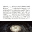 퍼블릭아트 이미지