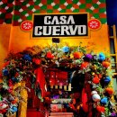 카사 쿠엘보 이미지
