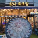 왔다회초장 | 부산에 가면 꼭 가야할 곳 민락 어민 활어직판장(왔다 회초장,민락더마켓)