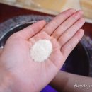 야생초농원 | 제주 허브동산 펜션 힐링하우스 톡톡힐링여행♡